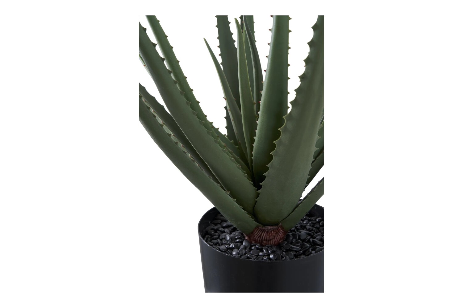 Kunstlill Aloe