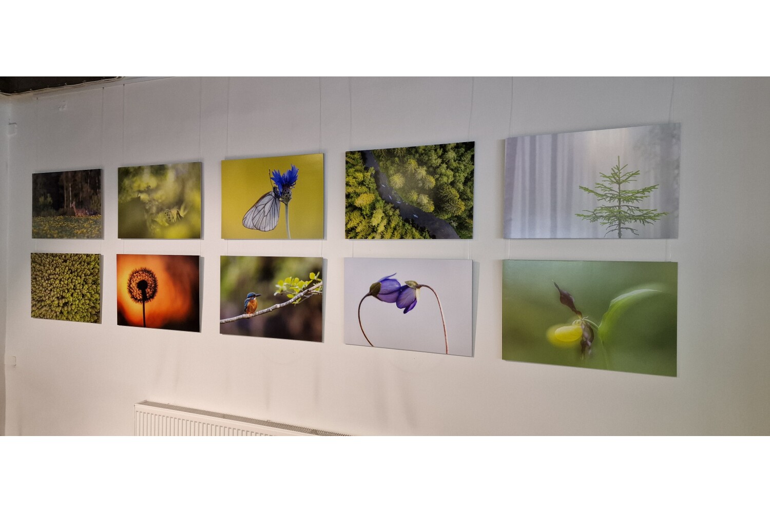Sisustusfotod - Image 3