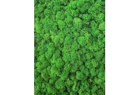 Alternative view of Samblapaneel 60 cm / Saalinäidis