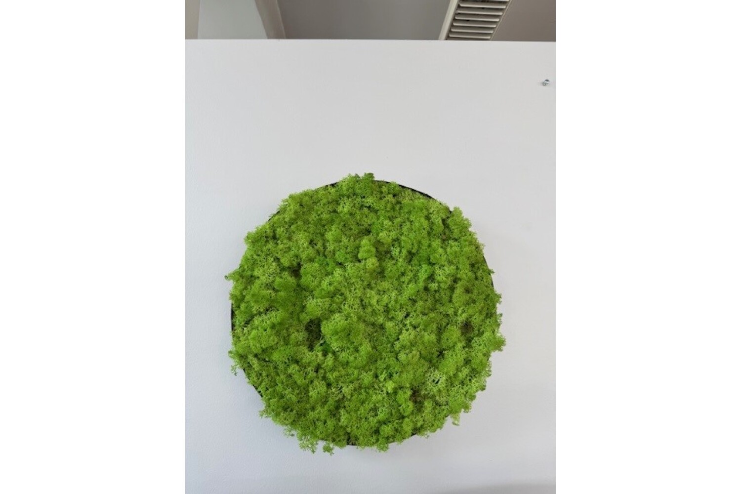 Samblapaneel 40 cm / Saalinäidis