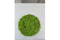 Samblapaneel 40 cm / Saalinäidis