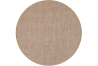 Alternative view of Sisalvaip Dragon