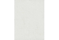 Alternative view of Vaip Noble