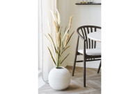 Alternative view of Vaas Pesa