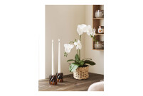 Alternative view of Küünlahoidjad