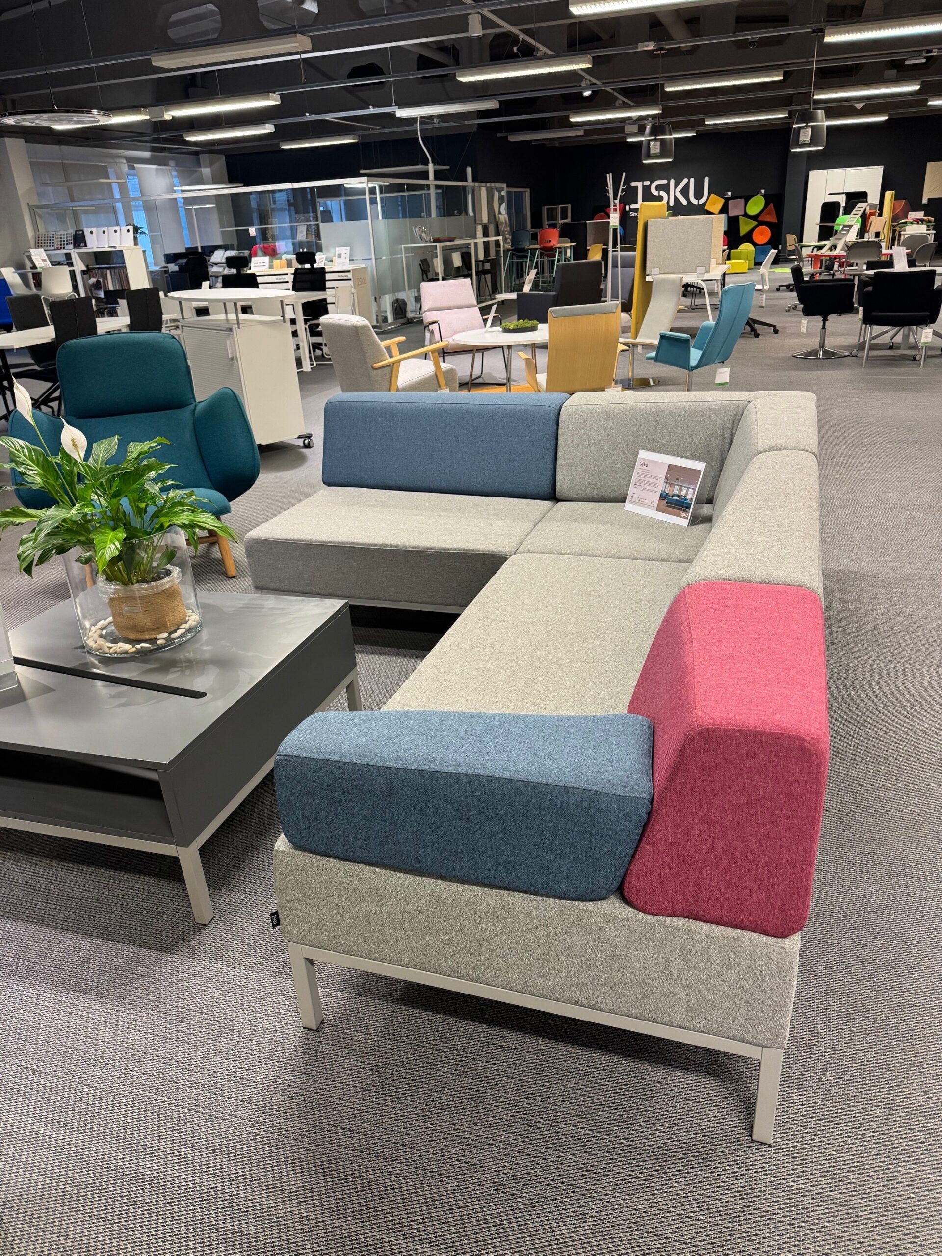 Nurgadiivan Syke / Saalinäidis