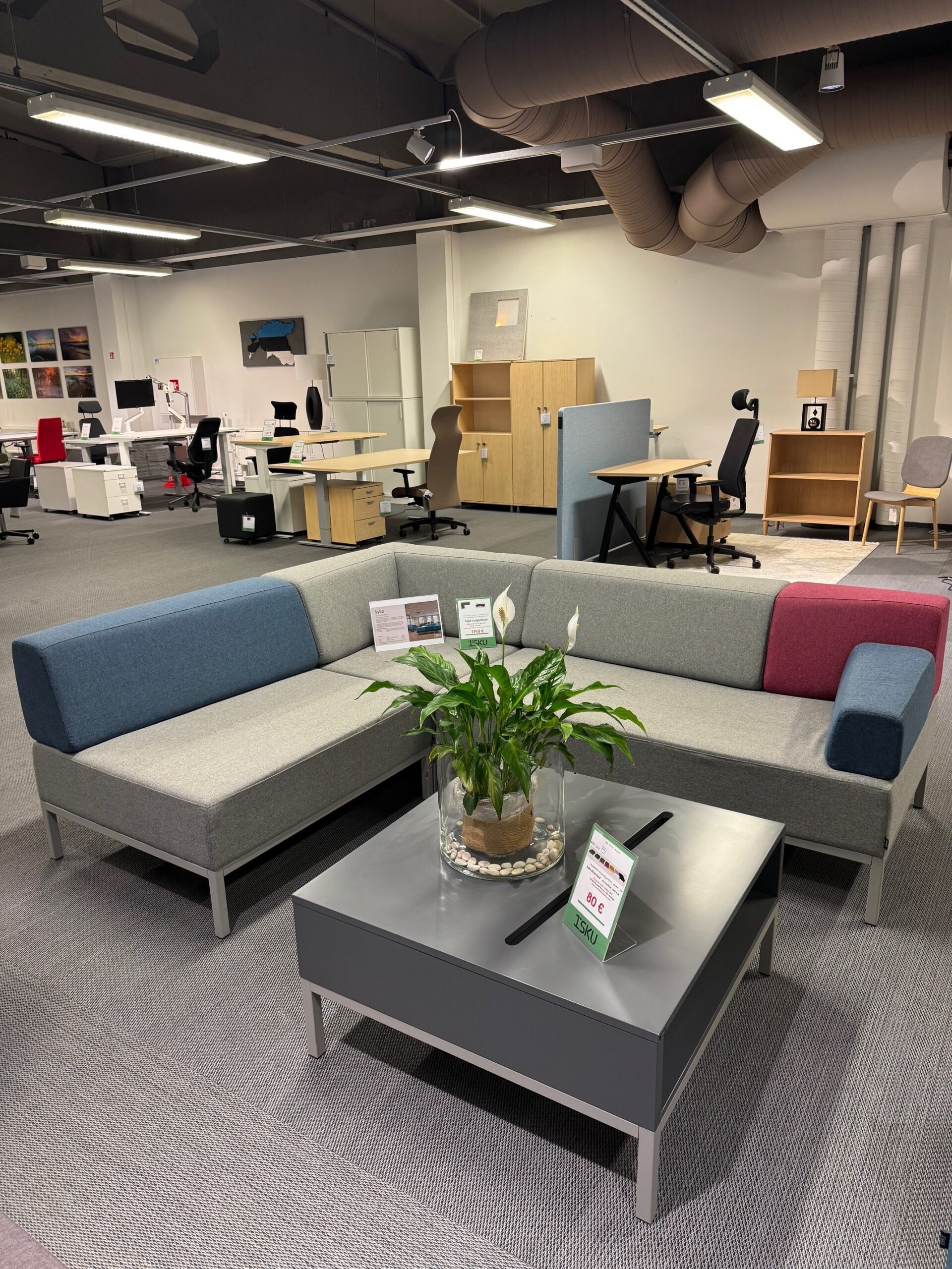 Laud Syke / Saalinäidis - Image 2