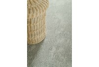 Alternative view of Vaip Pippuri