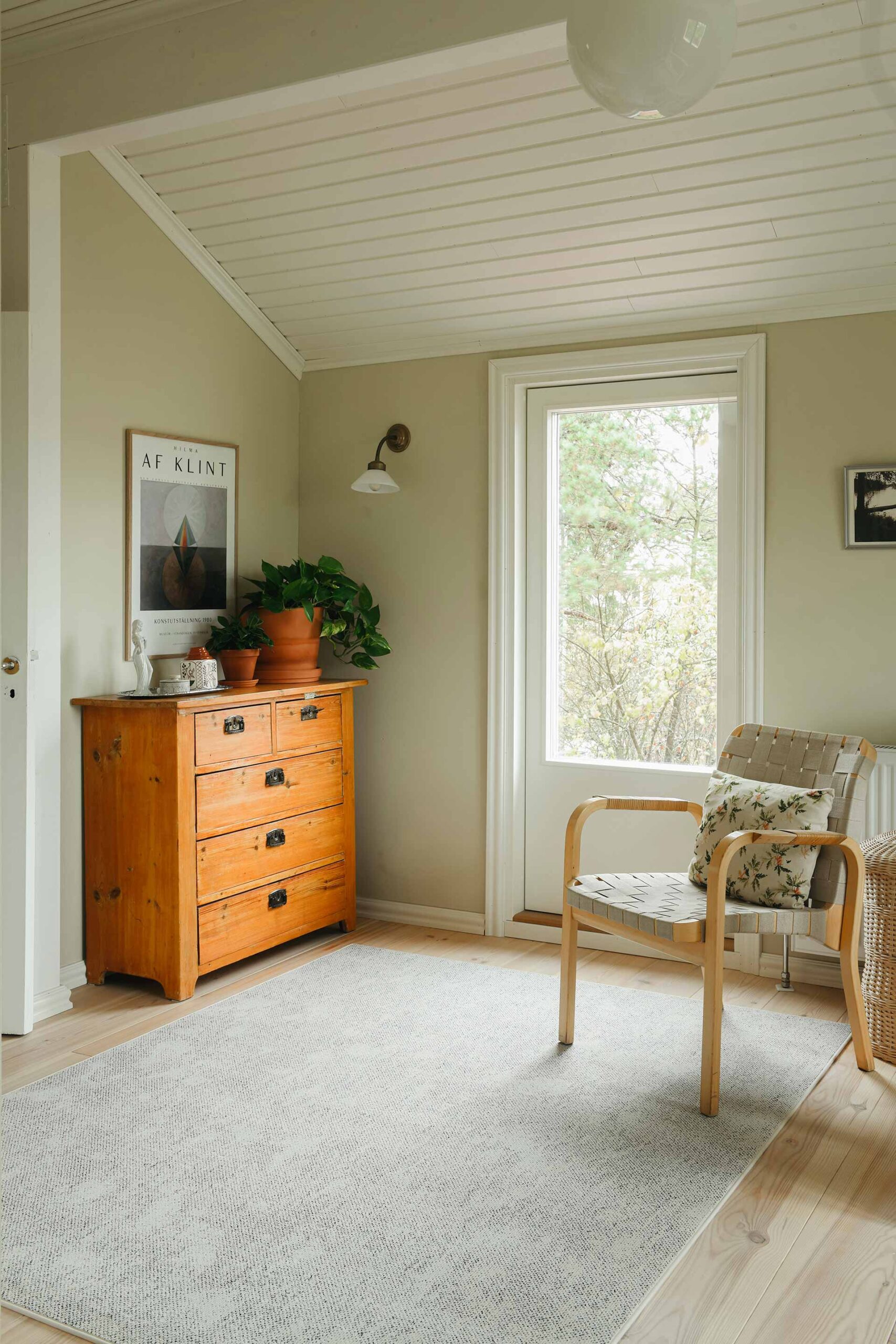 Vaip Pippuri - Image 3