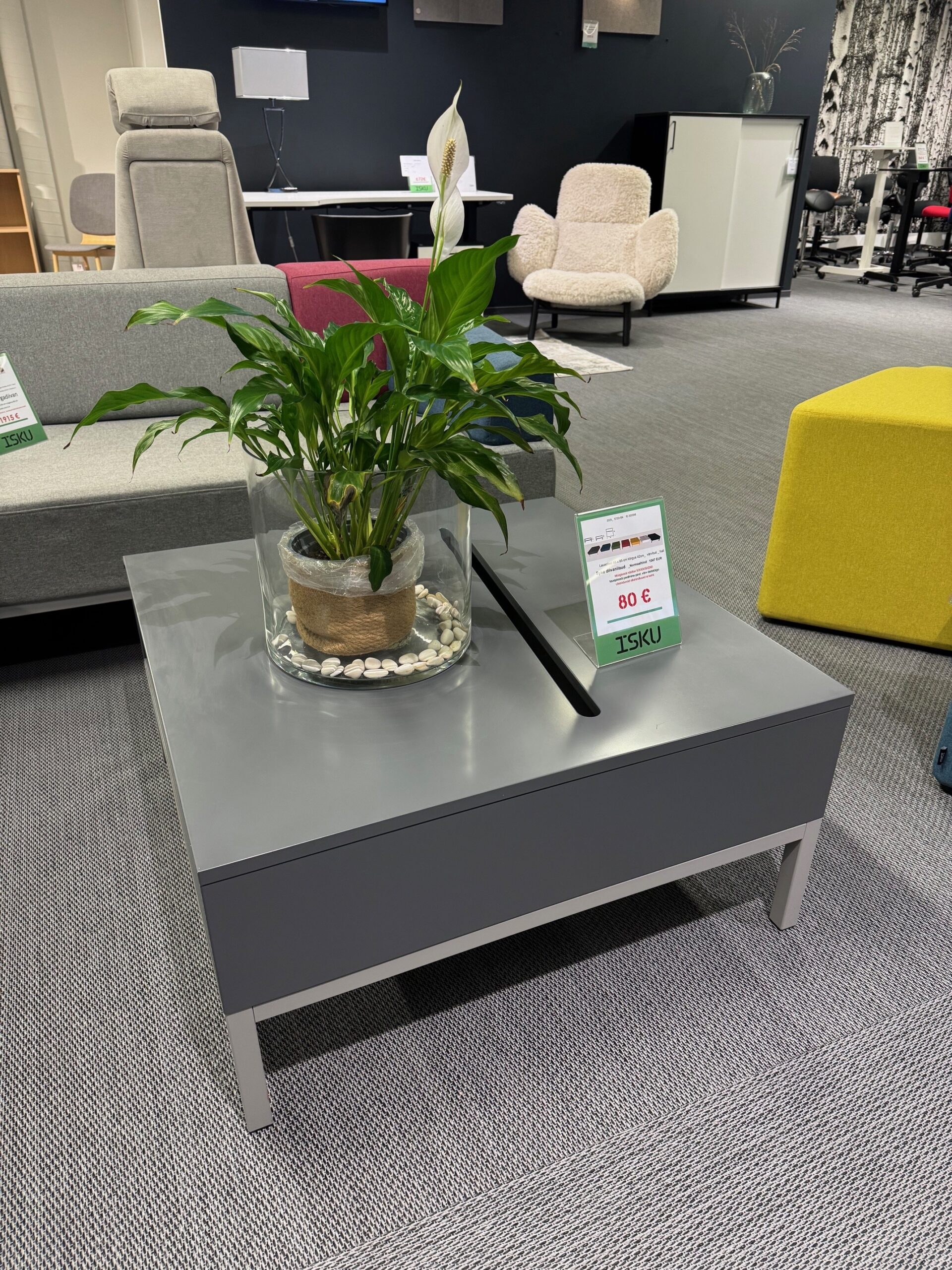 Laud Syke / Saalinäidis