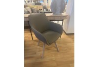 Tool Alison / Saalinäidis