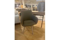 Alternative view of Tool Alison / Saalinäidis