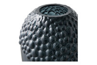 Alternative view of Vaas Grapes