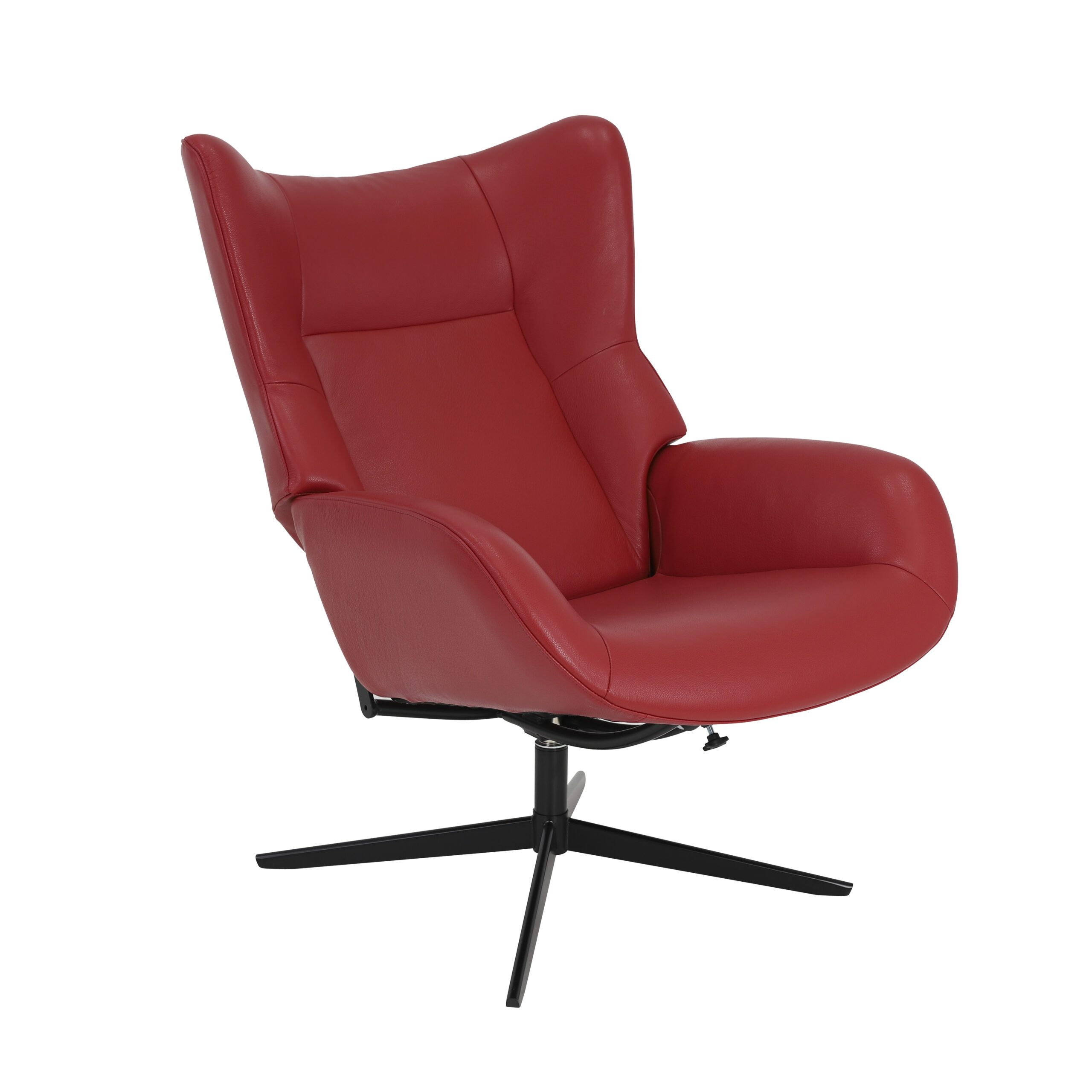 Tugitool ja tumba Fox nahaga Balder - Image 7