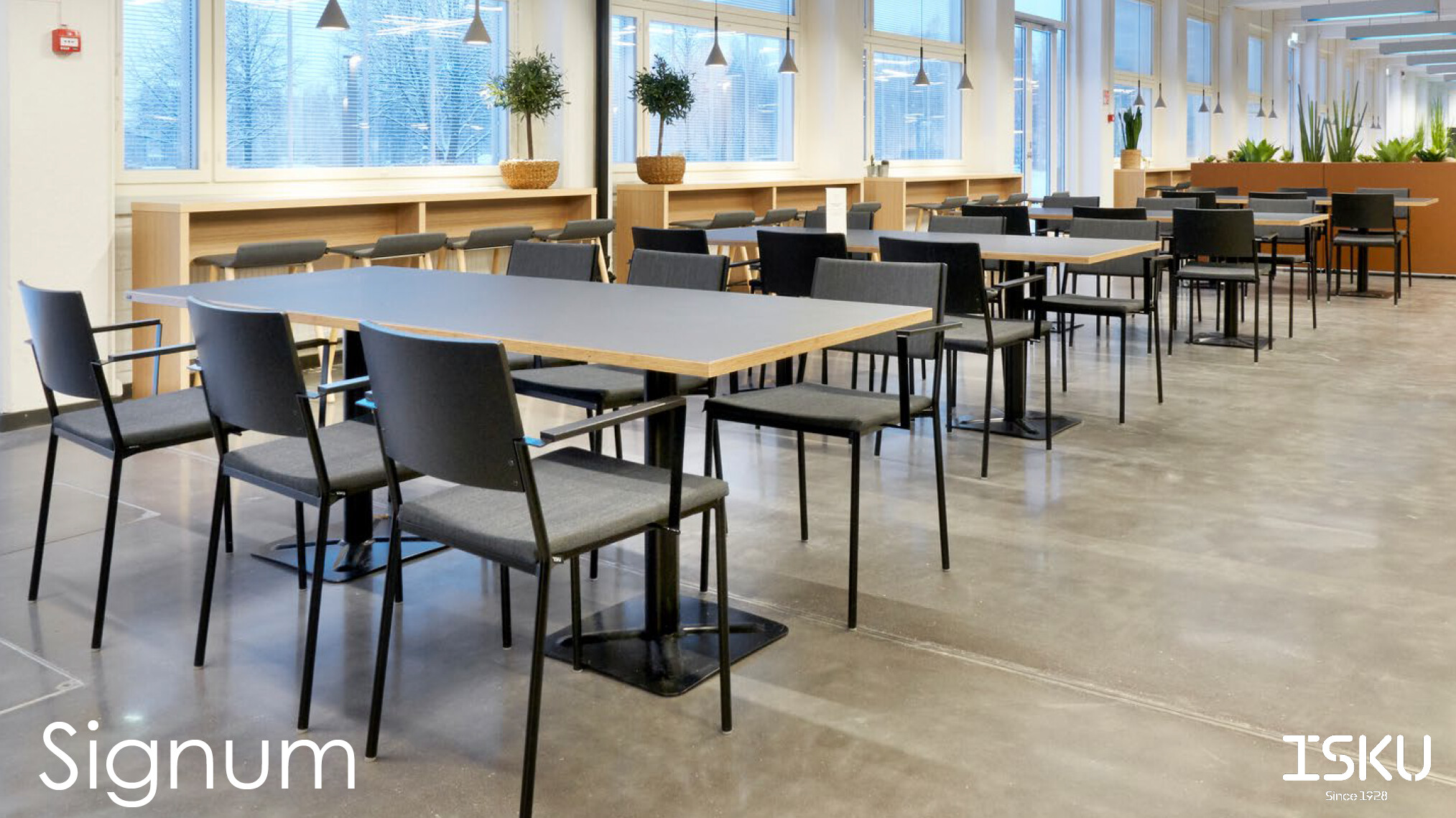 Käetugedega tool Signum 8 tk / Saalinäidis - Pilt 9